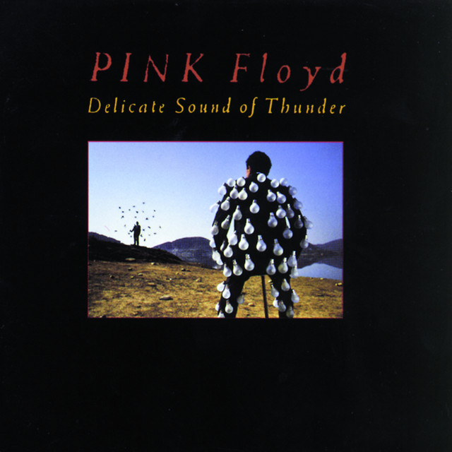 洋楽 2LP Pink Floyd Delicate Sound of Thunder Antiguidades CASA DO VELHO