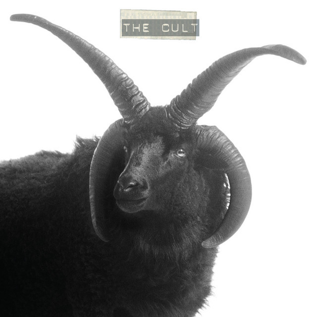 春野 CULT CD 春野 CULT CD 【公式通販】