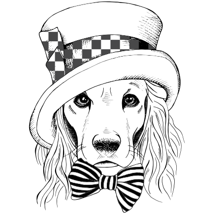 Estampa Camiseta Feminina Png Camiseta Feminina Para Estampar